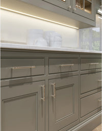 Regent's Park Clarence Pull 3 3/4 Inch Polished Nickel TK3112PN